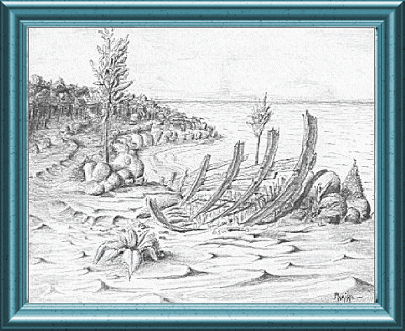 beach and carcass
